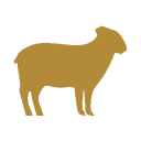 Lamm